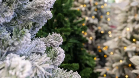 Artificial Christmas Trees