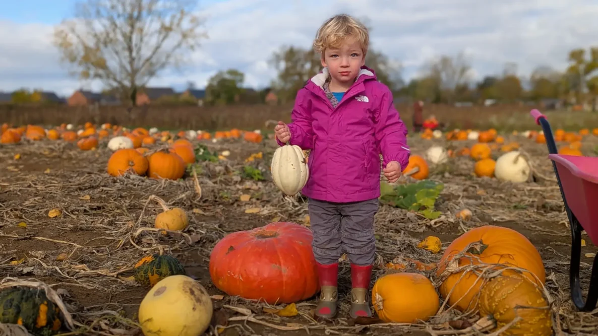 Kids' outdoor wear The North Face